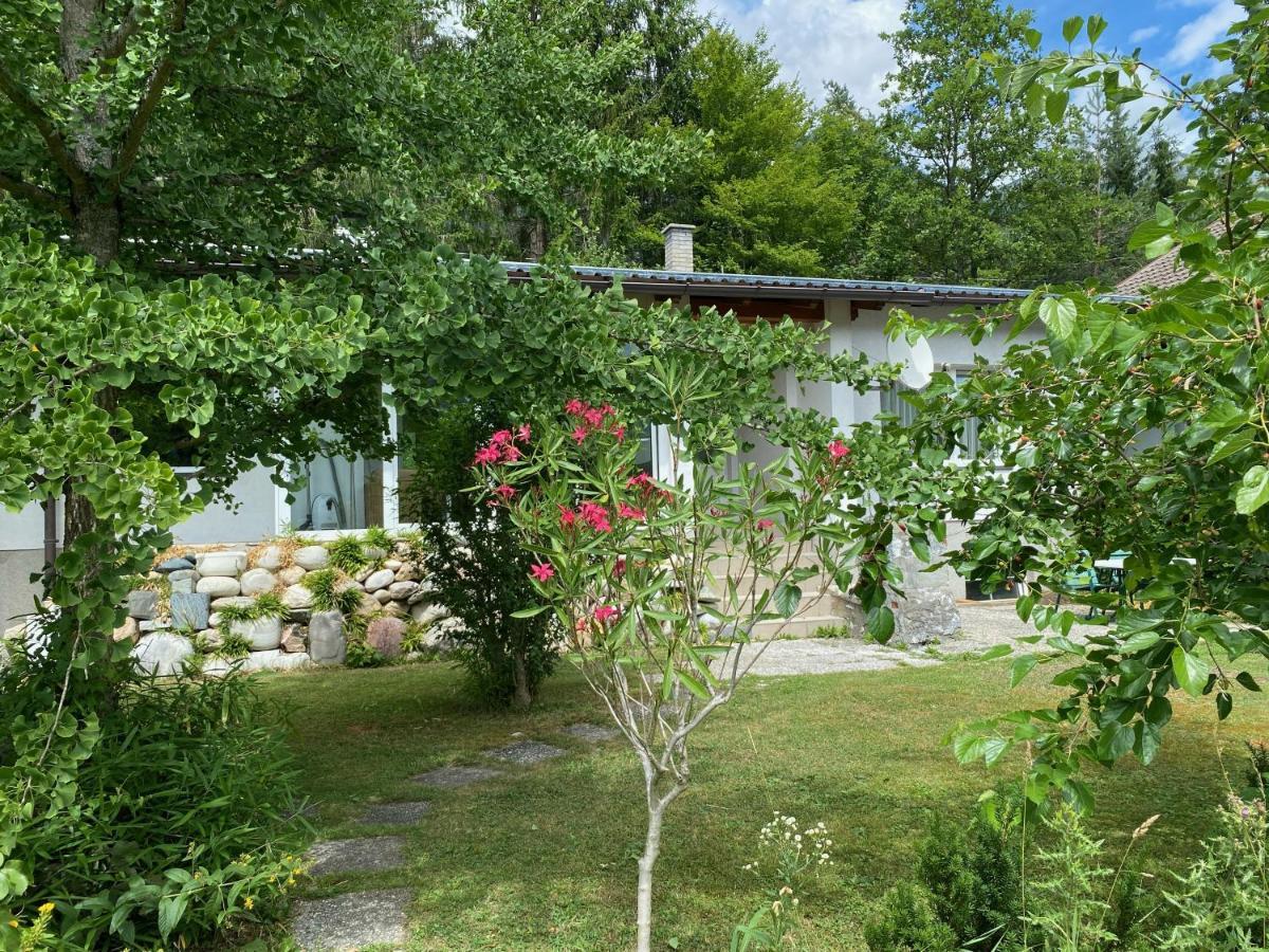Bungalow Grabner Hermagor-Pressegger See Exterior photo